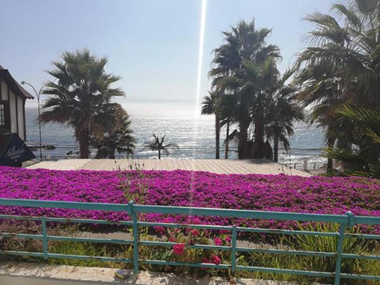 Playa Paraiso Resort Concón Zewnętrze zdjęcie